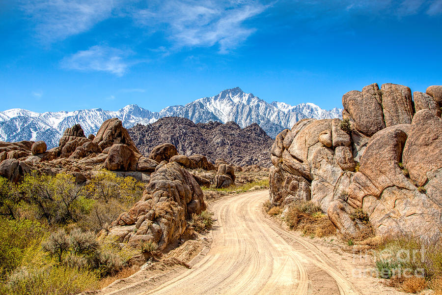 Road In The Alabama Hills Photograph by Mimi Ditchie