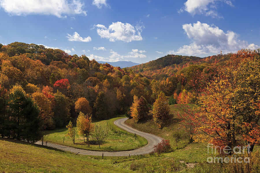 Road In The Fall Mountains Photograph