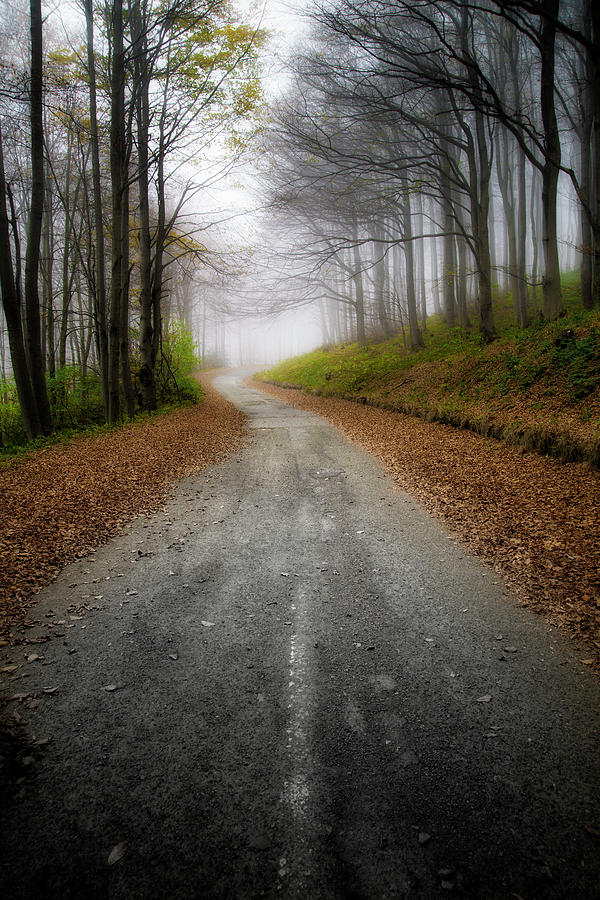 Road in the fog Photograph by Plamen Petkov