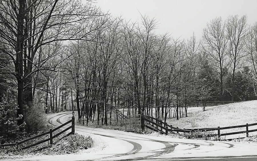 Road in the snow Black and White Photograph by Tatiana Travelways