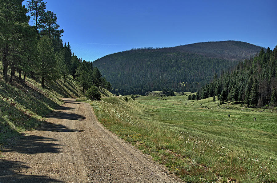 Landscape Photograph - Road in Valles Caldera by Tom Winfield