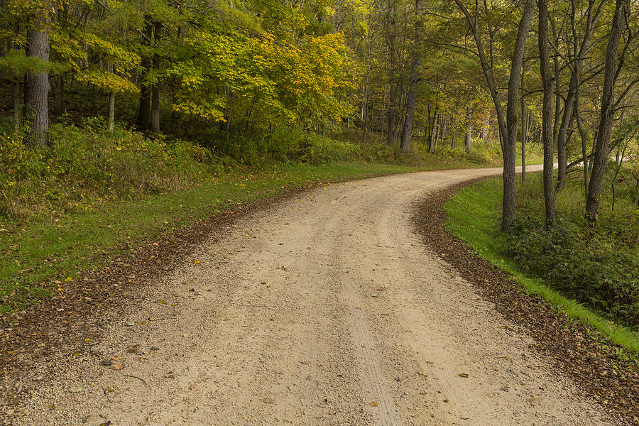 Fall Photograph - Road In Woods Autumn 3 B by John Brueske