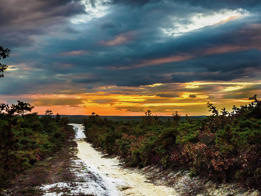 Road into The Pinelands Photograph by Louis Dallara