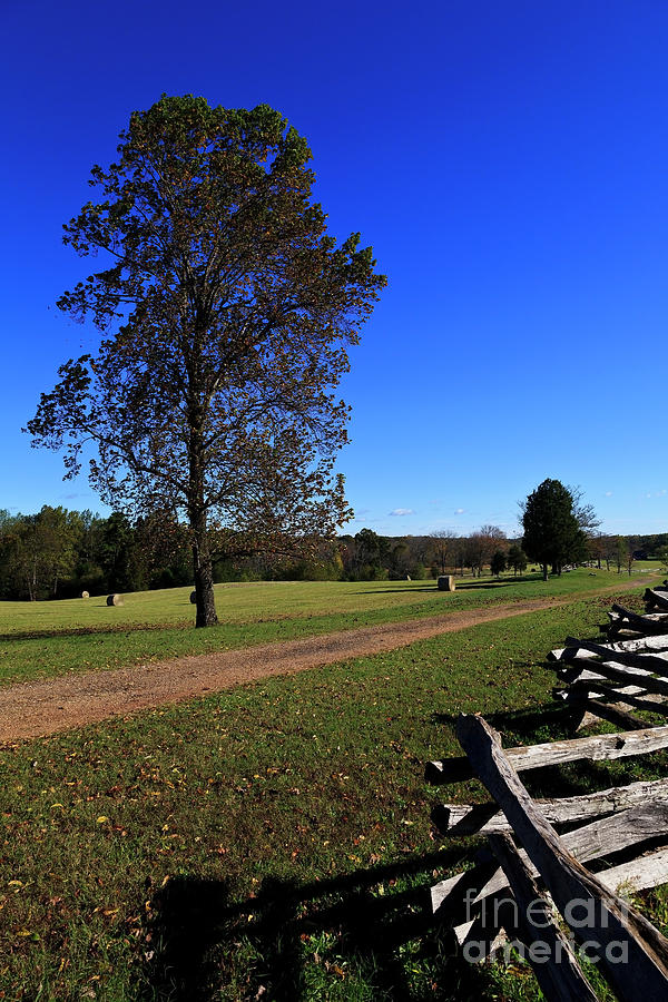 Road Leading To Mclean House In Appomattox Court House Photograph