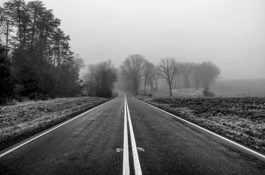 Road on a Foggy Morning Photograph by Lori Coleman