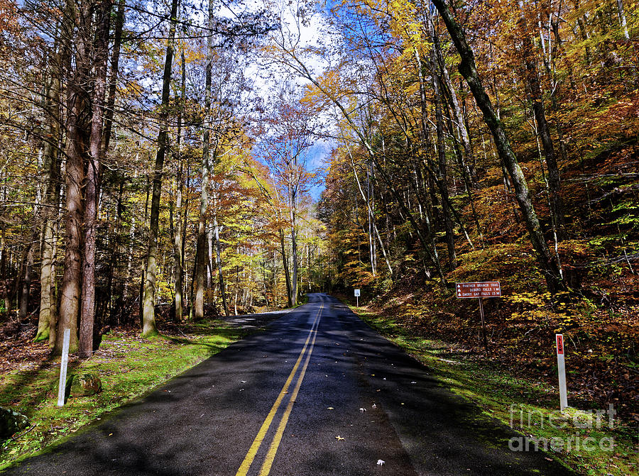 Road Through Fall Photograph by Paul Mashburn
