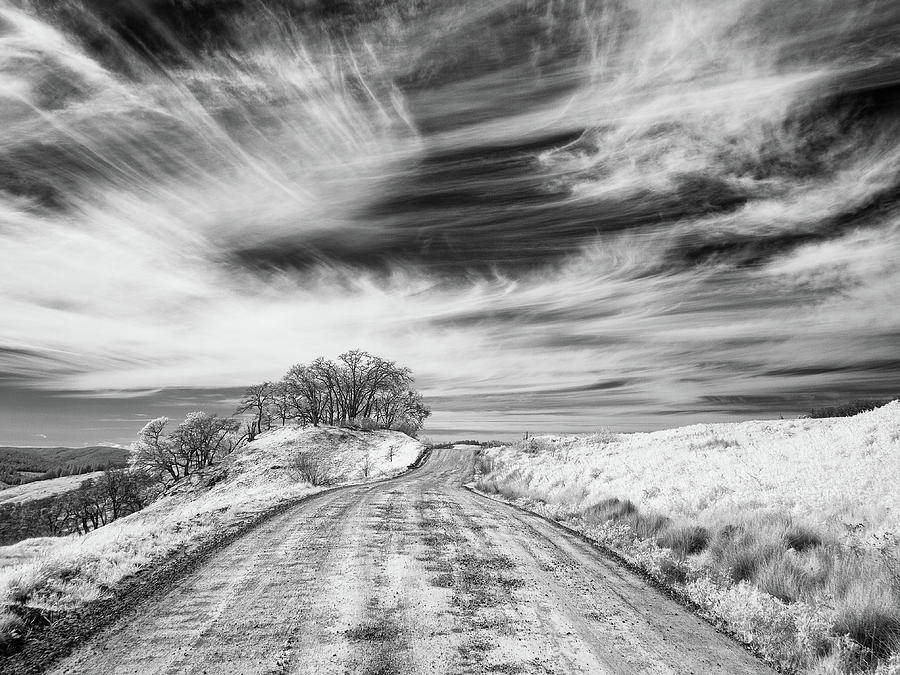 Road through Hills Photograph by Greg Nyquist