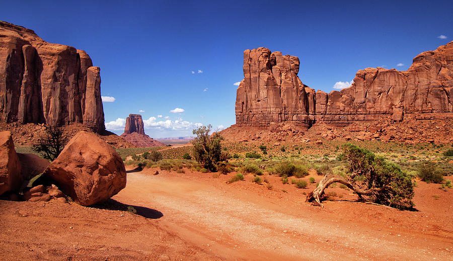 Road through Monument Valley Photograph by Carolyn Derstine