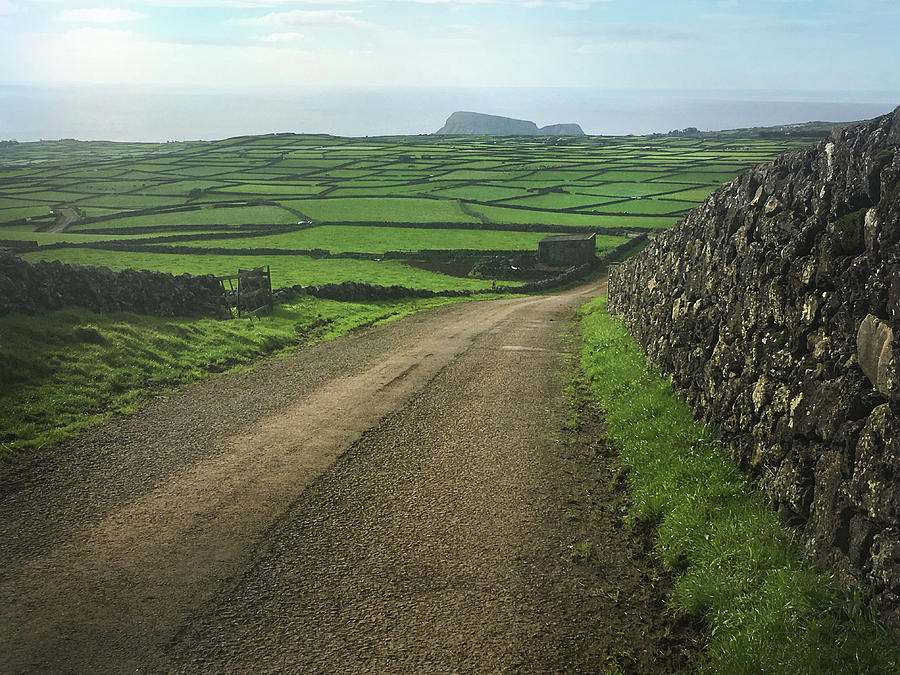 Road Through the Pastrues of Terceira  Photograph by Kelly Hazel