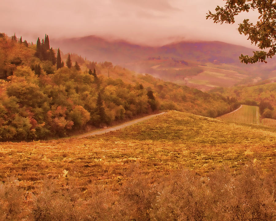 Fall Photograph - Road Through Tuscany by Karen Regan