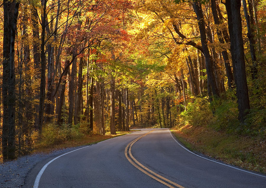 Road to Autumn Photograph by Amy Jackson - Fine Art America