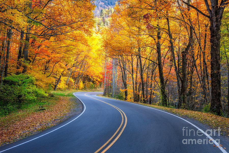 Road to Autumn Photograph by Anthony Heflin