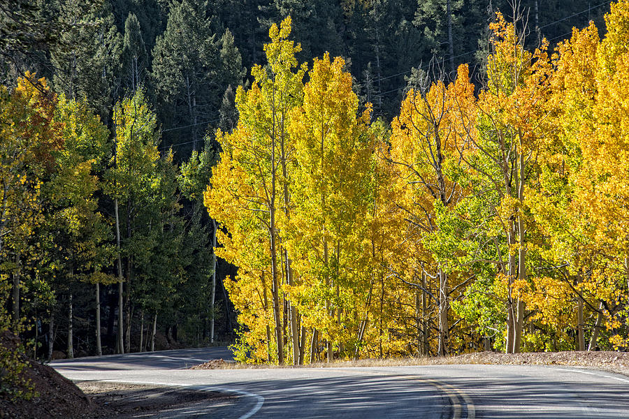 Fall Photograph - Road to Autumn by Barry C Donovan