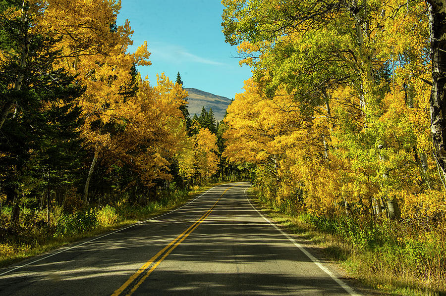 Road Photograph - Road to East Glacier by Roy Nierdieck Road Photograph - Road to East Glacier by Roy Nierdieck