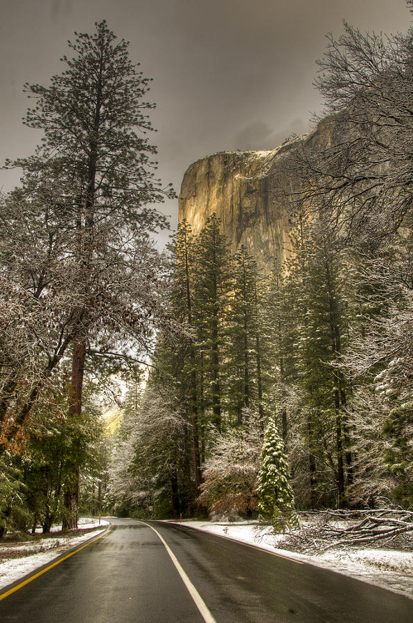Yosemite National Park Photograph - Road to El Capitan after Snow Storm at Sunrise by Connie Cooper-Edwards