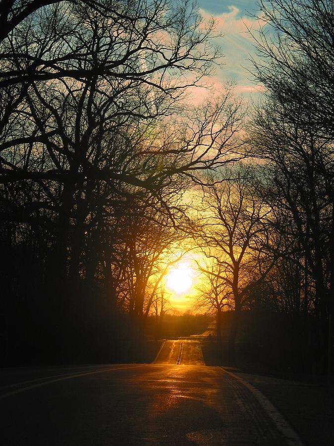 Tree Photograph - Road to glory by Mykel Davis