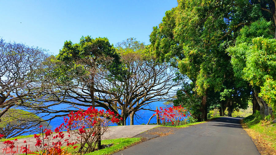 Road to Hana - Maui Photograph by Michael Rucker