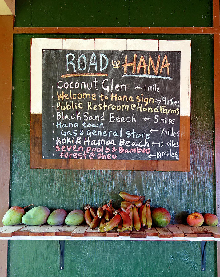 Road to Hana Study 01 Photograph by Robert Meyers-Lussier