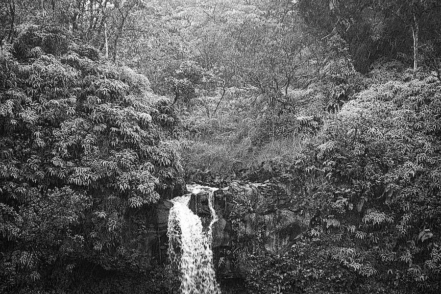 Road to Hana Study 12 Photograph by Robert Meyers-Lussier