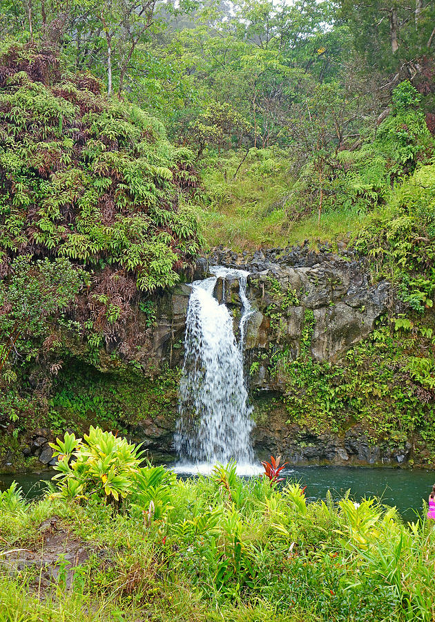 Road to Hana Study 13 Photograph by Robert Meyers-Lussier