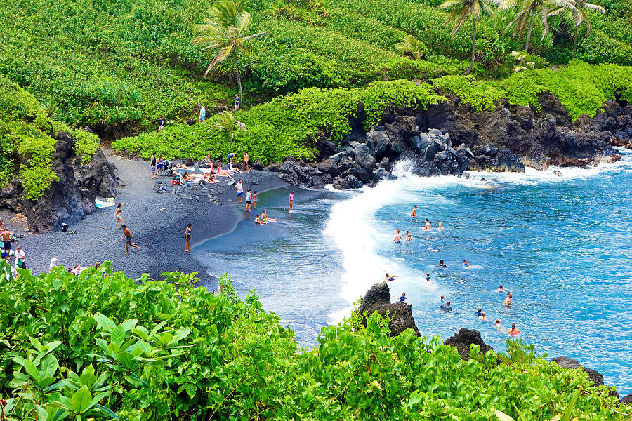 Road to Hana Study 16 Photograph by Robert Meyers-Lussier