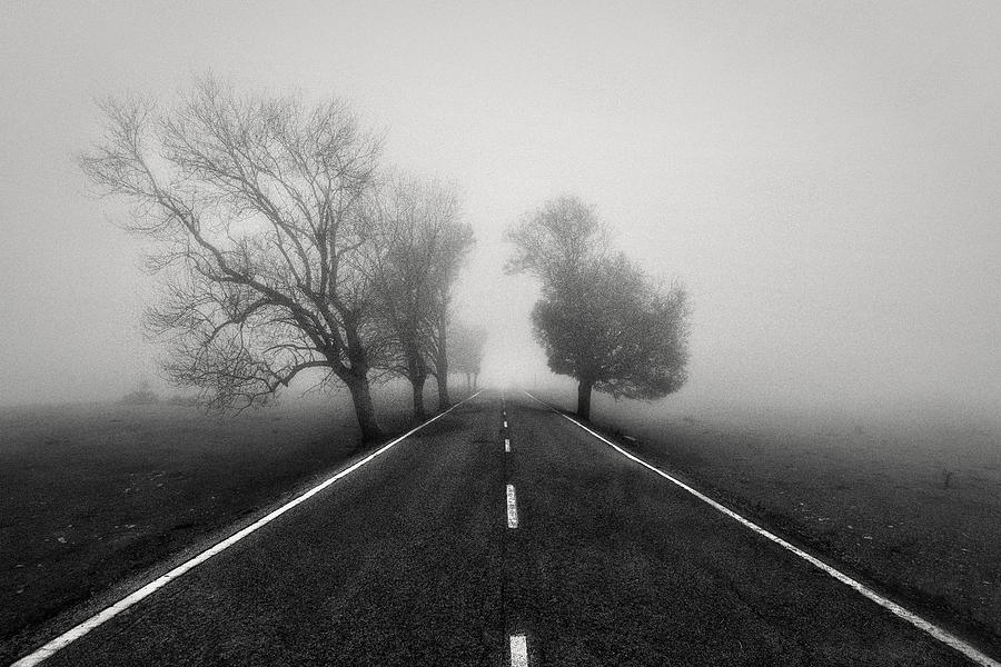 Road To Infinity Photograph by Fran Osuna