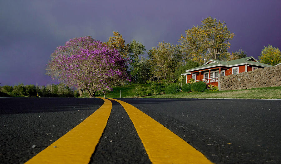 Road to Jacaranda Photograph by Drew Sulock
