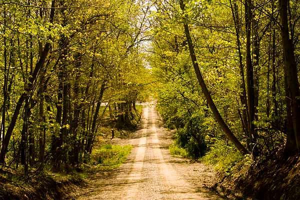 Road to... Photograph by Melissa Newcomb