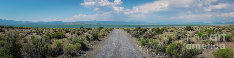Road To Mono Lake  Photograph by Michael Ver Sprill
