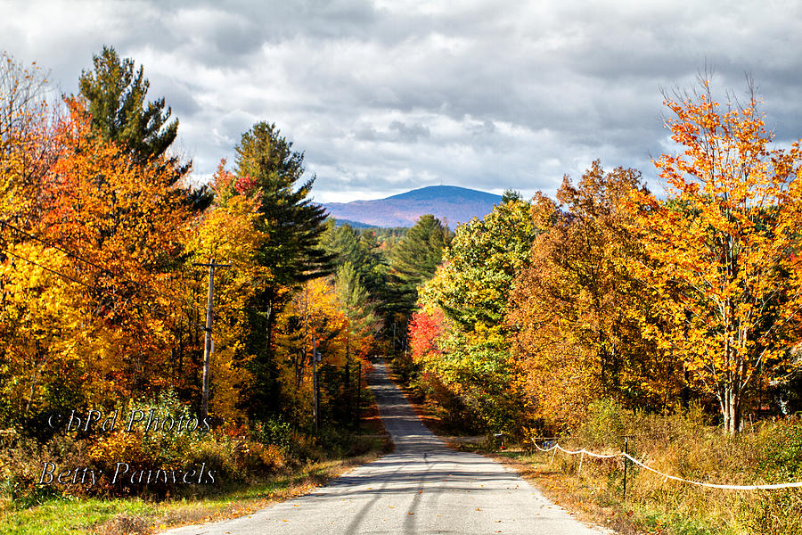 Road to Mt. Kearsage Photograph by Betty  Pauwels 