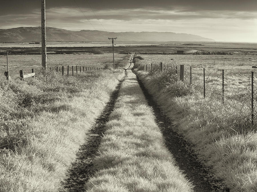 Road to Nowhere Photograph by Greg Nyquist