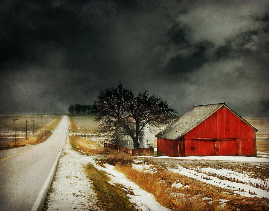 Road to Nowhere Photograph by Julie Hamilton
