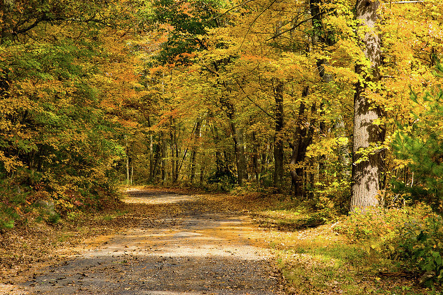 Quabbin Reservoir Photograph - Road to nowhere town Massachusetts by Jeff Folger