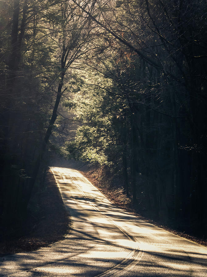 Road to recovery Photograph by Andrea Anderegg