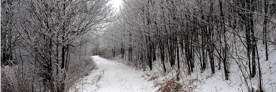 Road to Snow Where Photograph by Alan Lenk