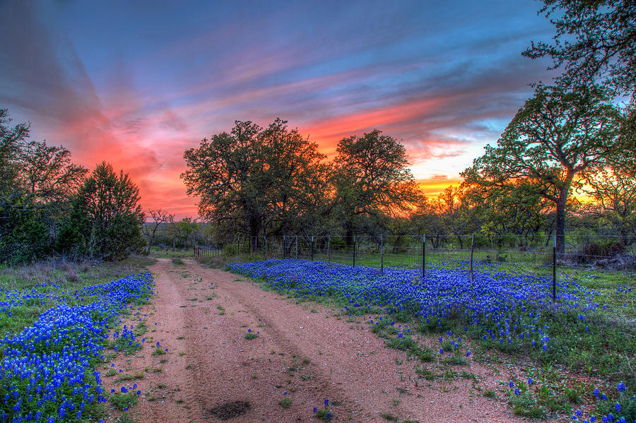 Spring Photograph - Road to Sunset by Tom Weisbrook