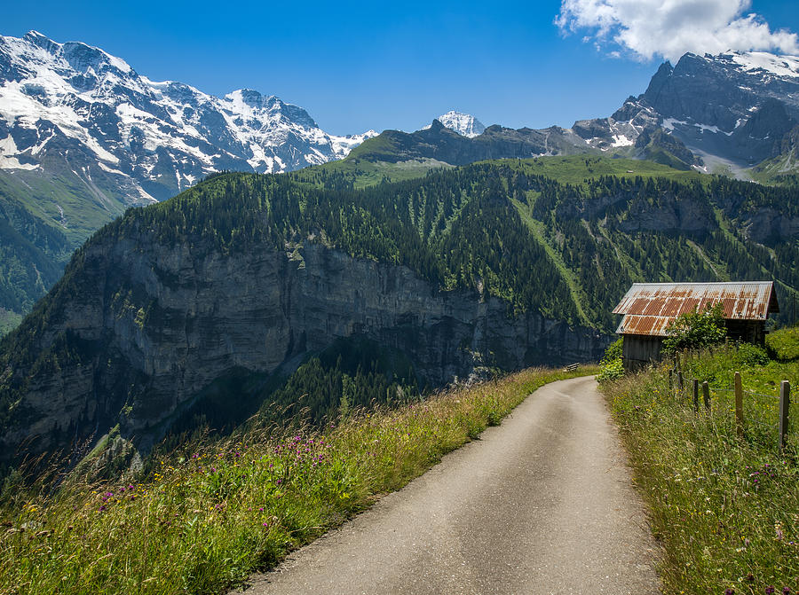 Spring Photograph - Road to the Alps by Kaleidoscopik Photography