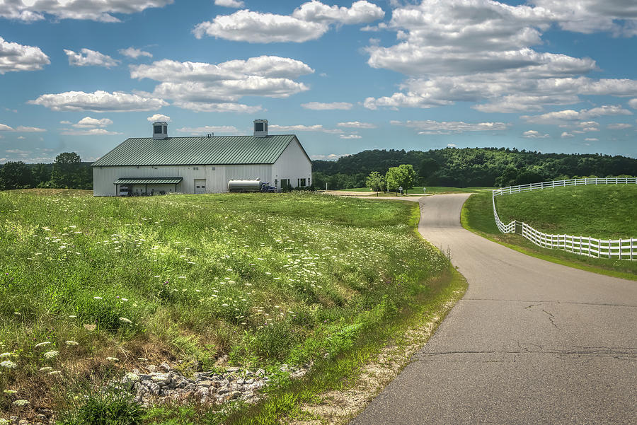 Road to the barn Photograph by Jane Luxton