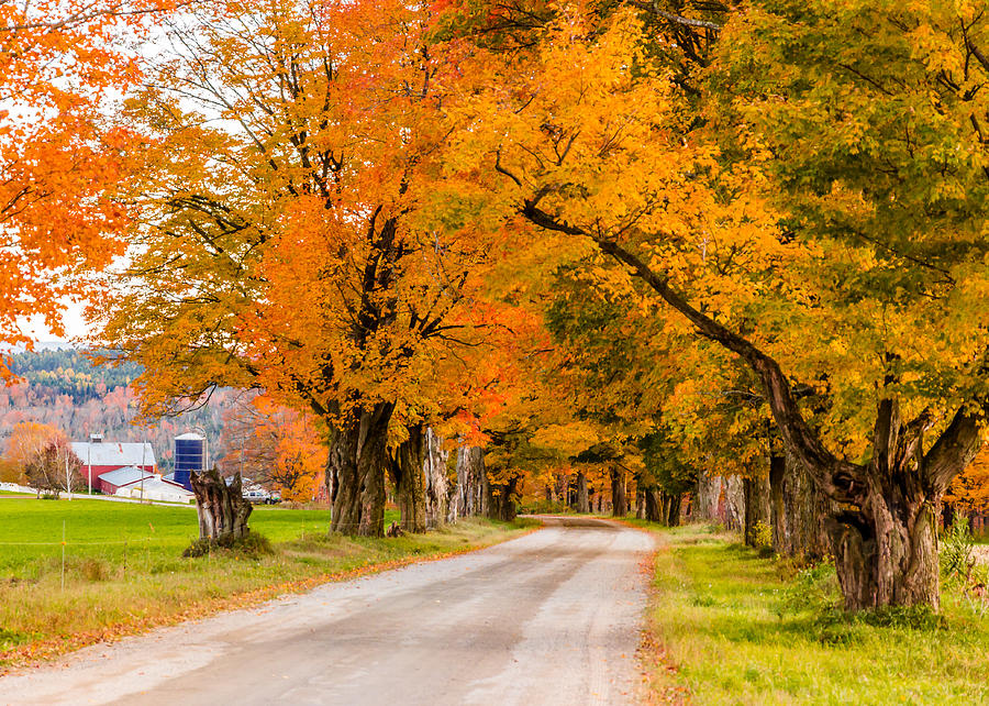 Road to the Farm Photograph by Tim Kirchoff