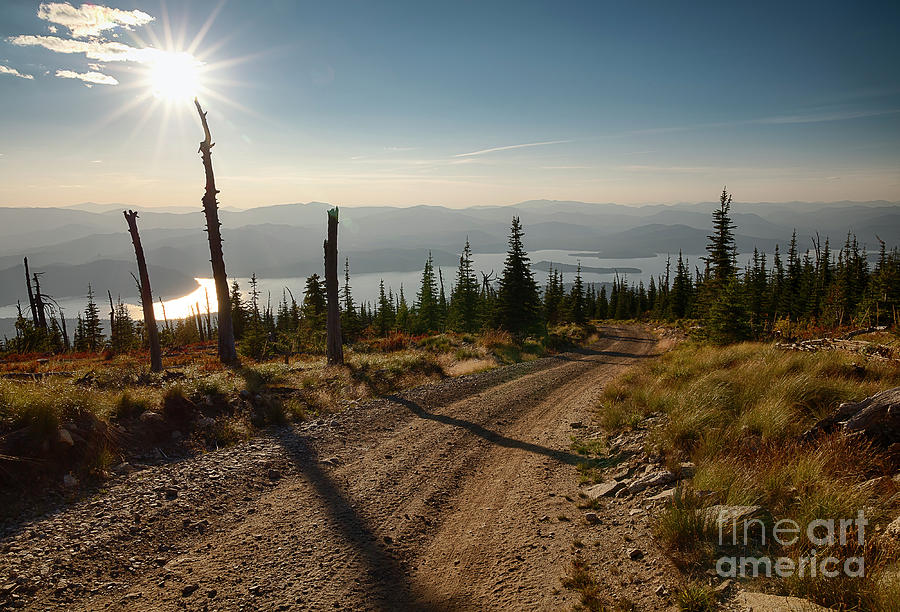 Road to the Lake Photograph by Idaho Scenic Images Linda Lantzy