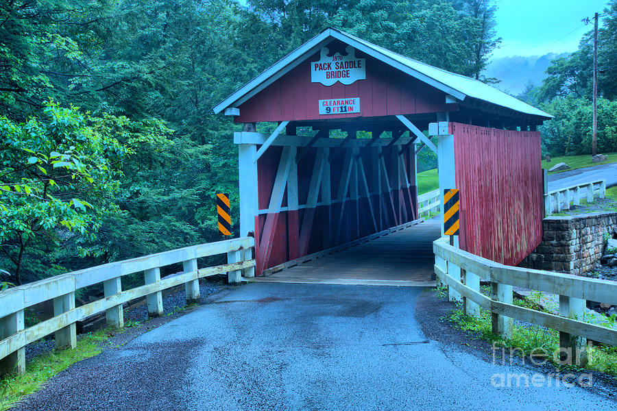 Road To The Packsaddle Covered Bridge Photograph by Adam Jewell