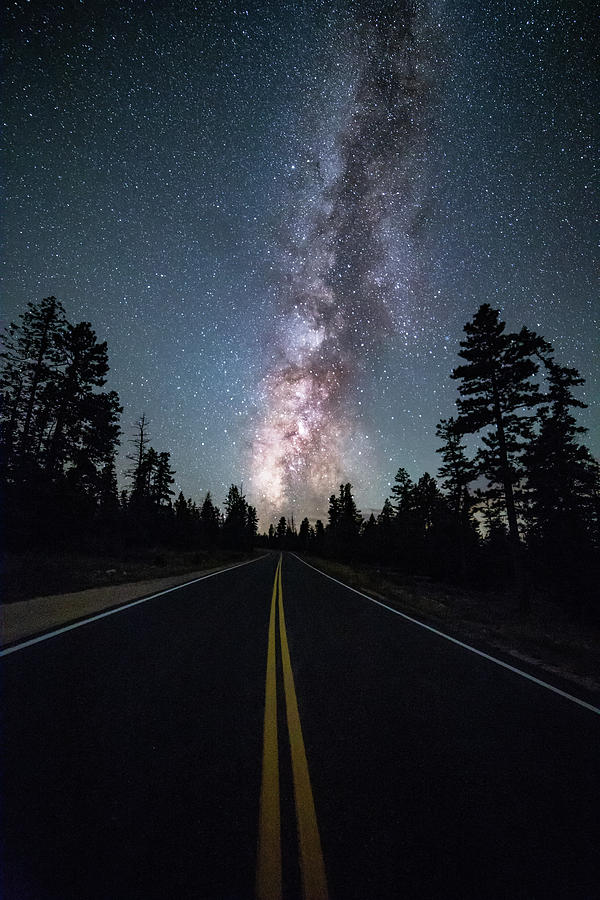 Road to the Stars Photograph by Judi Kubes