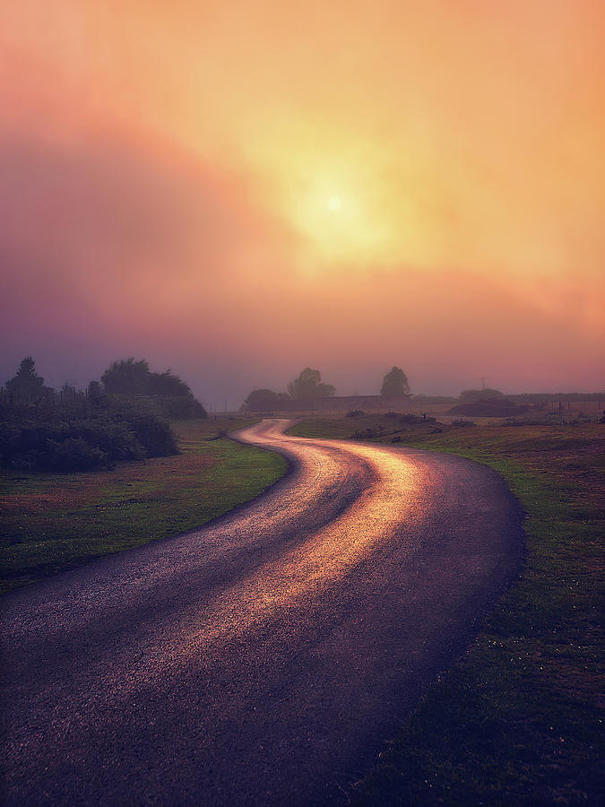 Road to the sun Photograph by Mikel Martinez de Osaba