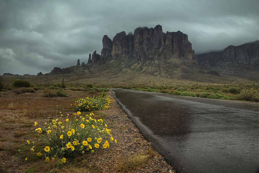 Road to the Superstitions Photograph by Sue Cullumber
