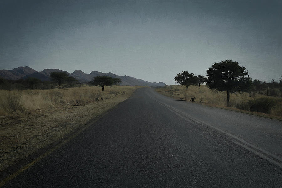 Tree Digital Art - Road to Windhoek by Ernest Echols