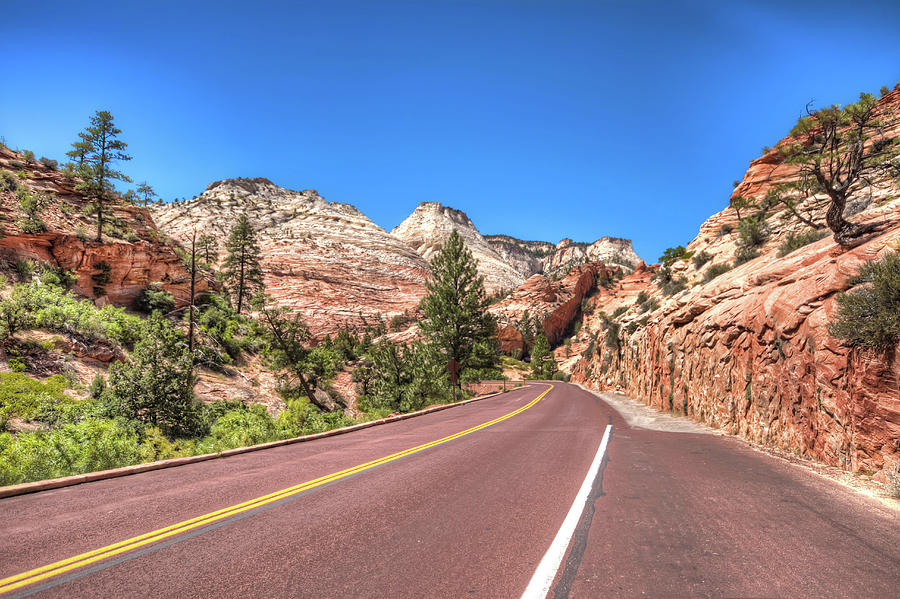 Zion National Park Photograph - Road to Zion by Brent Durken