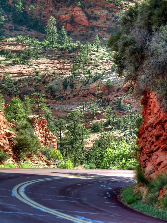 Road To Zion Photograph by Jerry Sodorff