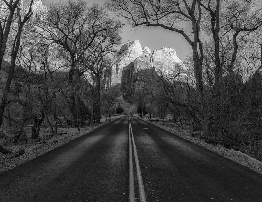 Road To Zion Photograph by Jonathan Nguyen