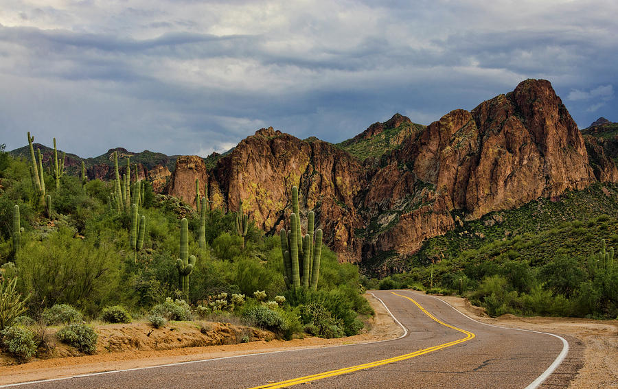 Road Trippin in the Sonoran  Photograph by Saija Lehtonen