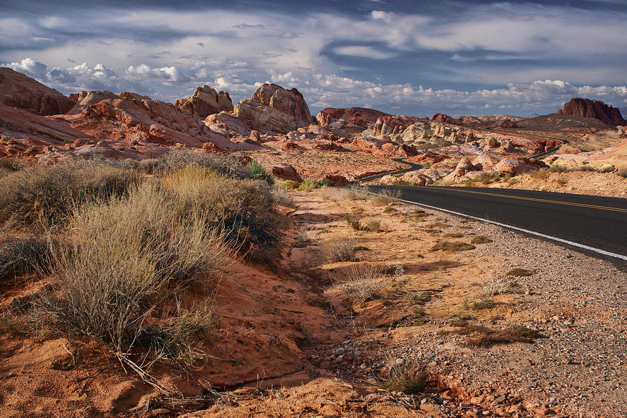 Landscape Photograph - Road - Valley of Fire - Nevada by Nikolyn McDonald